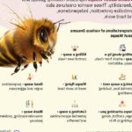 Sognare Vespe: Significati e Interpretazioni nei Sogni